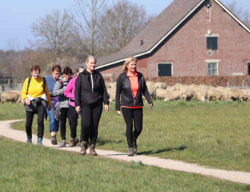1.000 wandelaars genieten van de zon in Brabants OERgebied